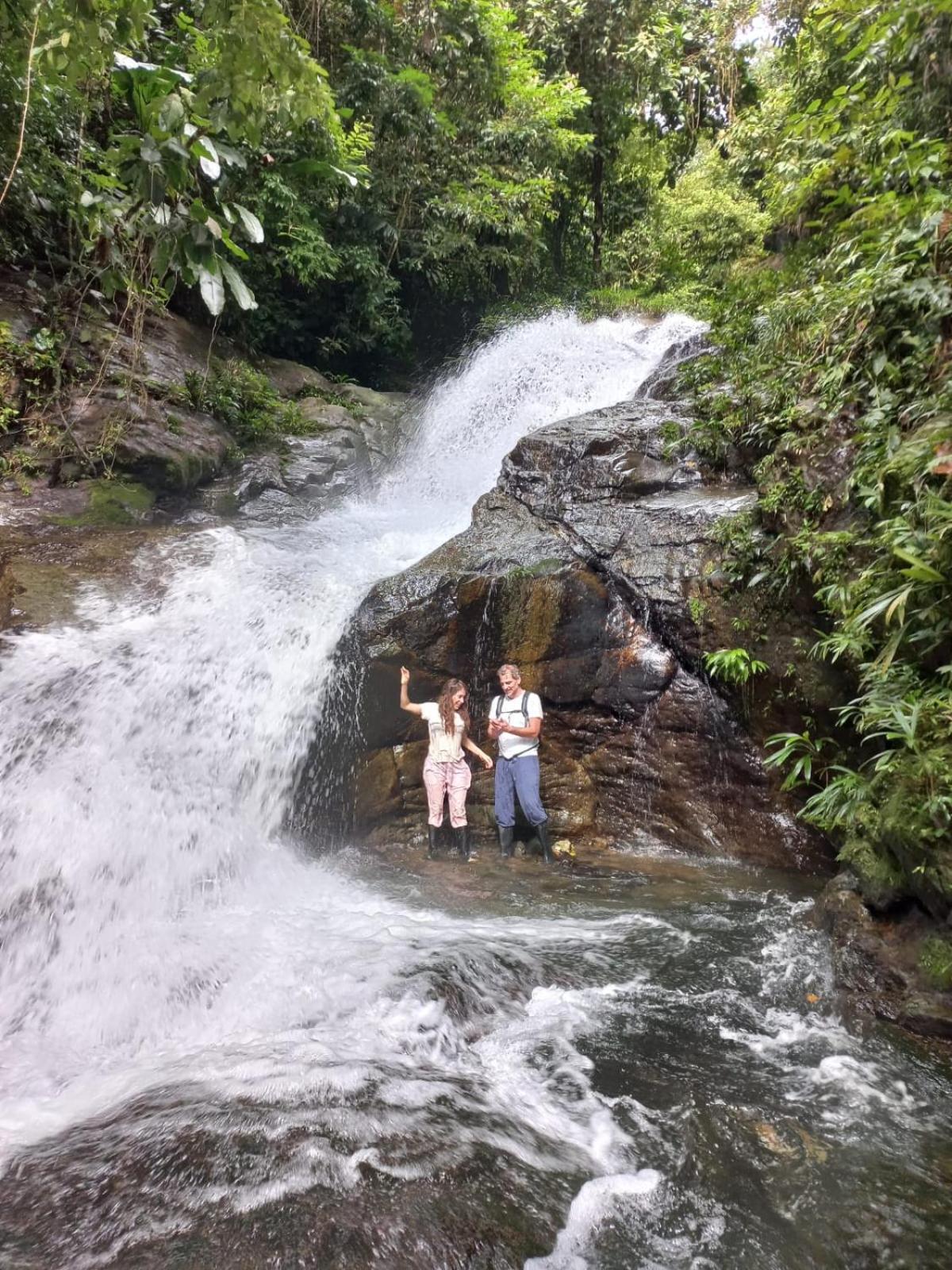 Rainforest Yasmin Hotel Santa Fe  Zewnętrze zdjęcie