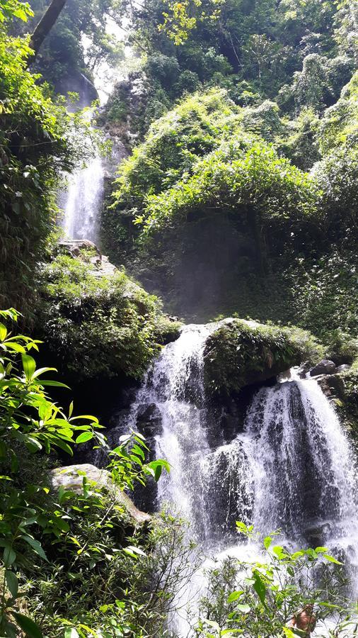 Rainforest Yasmin Hotel Santa Fe  Zewnętrze zdjęcie