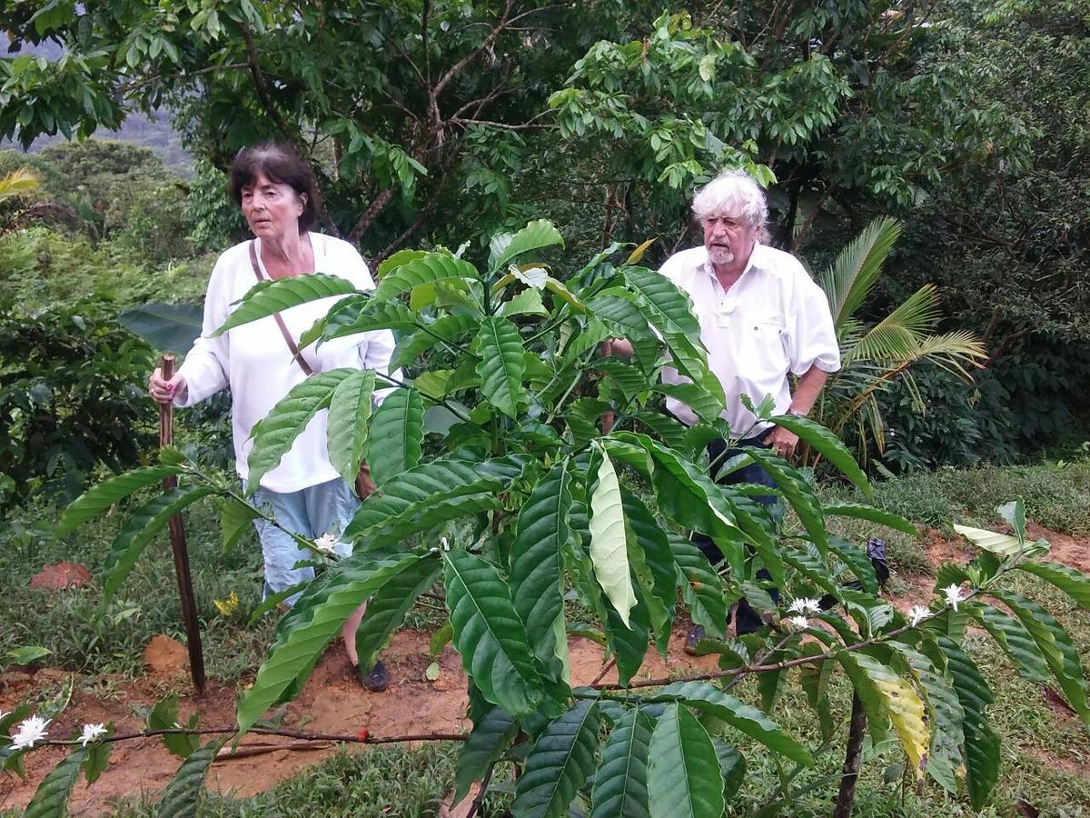 Rainforest Yasmin Hotel Santa Fe  Zewnętrze zdjęcie