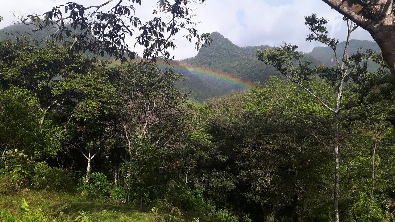 Rainforest Yasmin Hotel Santa Fe  Zewnętrze zdjęcie