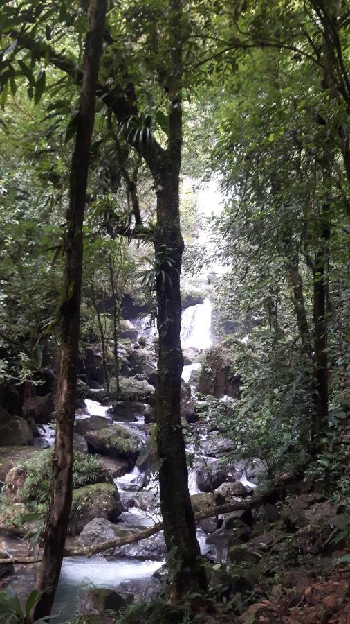Rainforest Yasmin Hotel Santa Fe  Zewnętrze zdjęcie