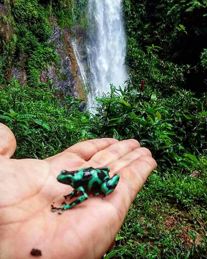 Rainforest Yasmin Hotel Santa Fe  Zewnętrze zdjęcie